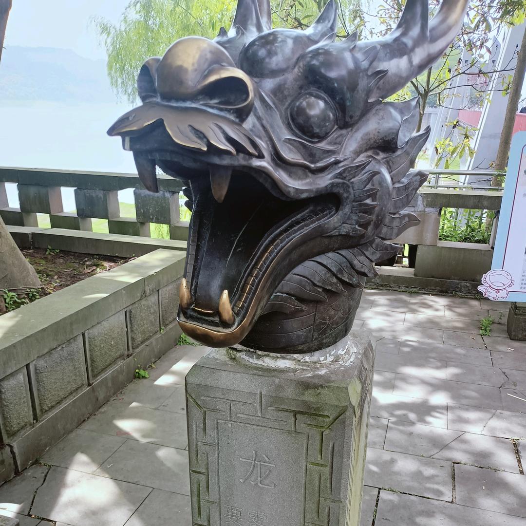 途安杨教练