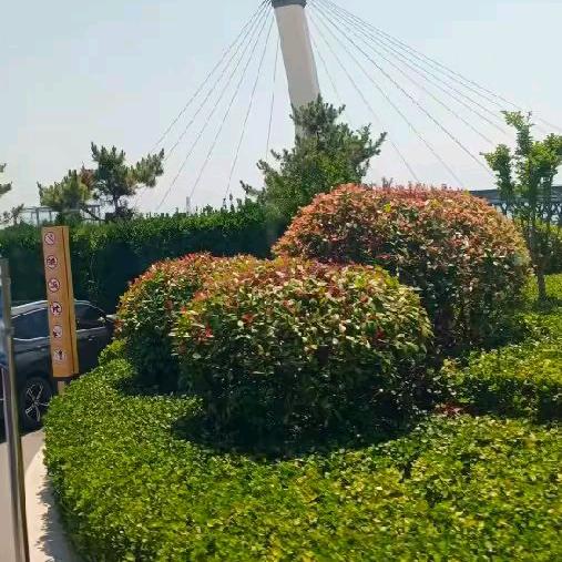 🍀笑对人生🍀