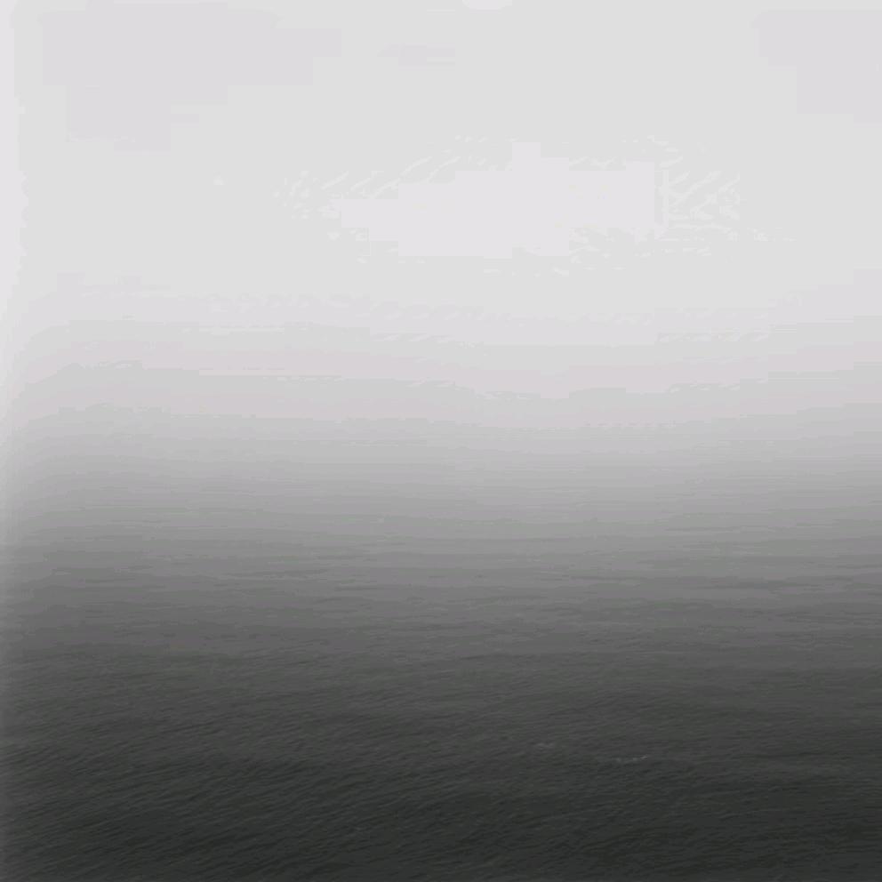 真觉理光