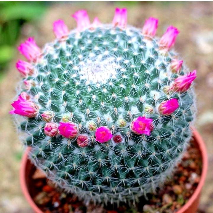 天天快乐有喜事