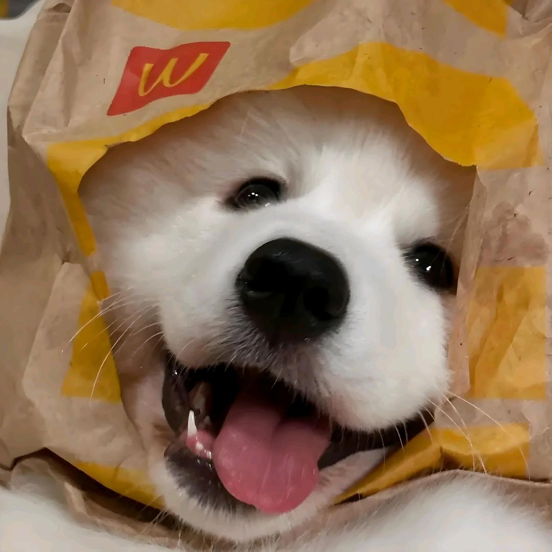 淮安千年舟全屋定制杰哥