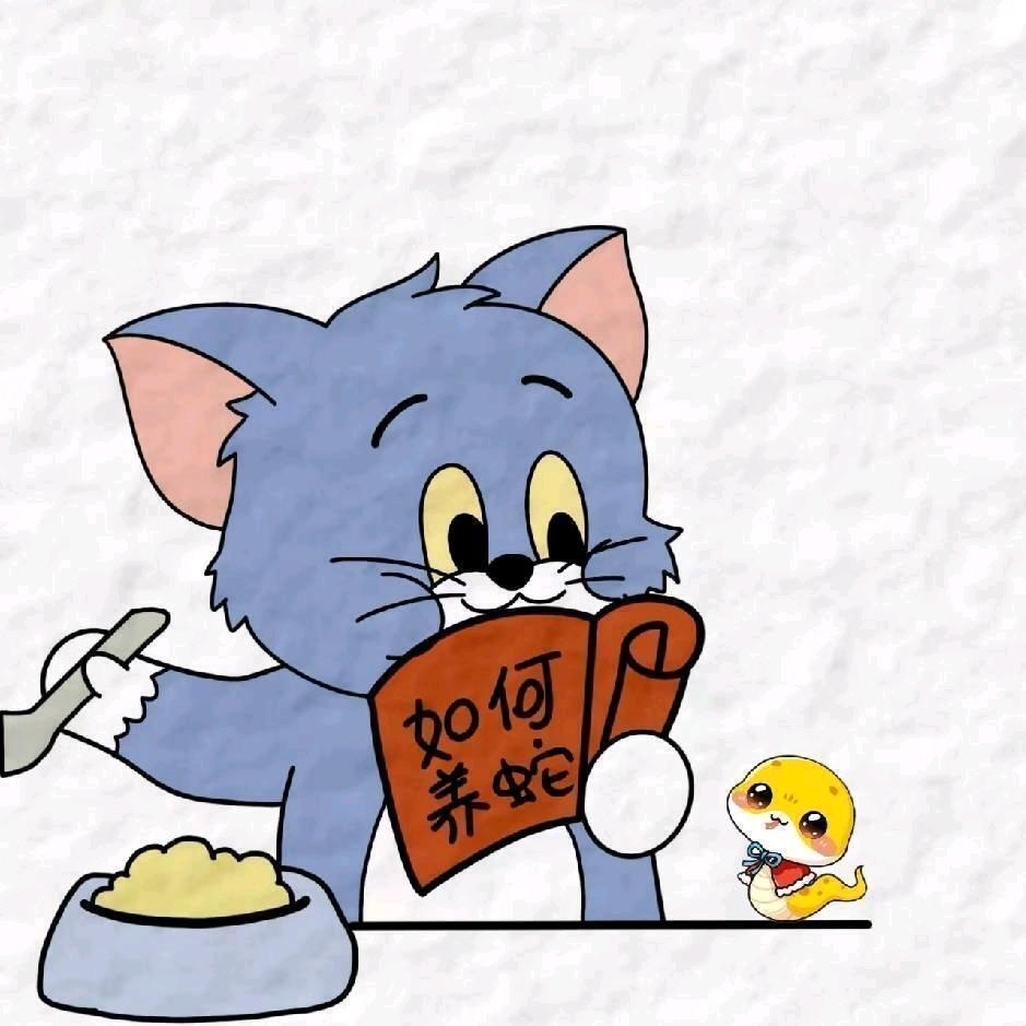 太阳下了有月光