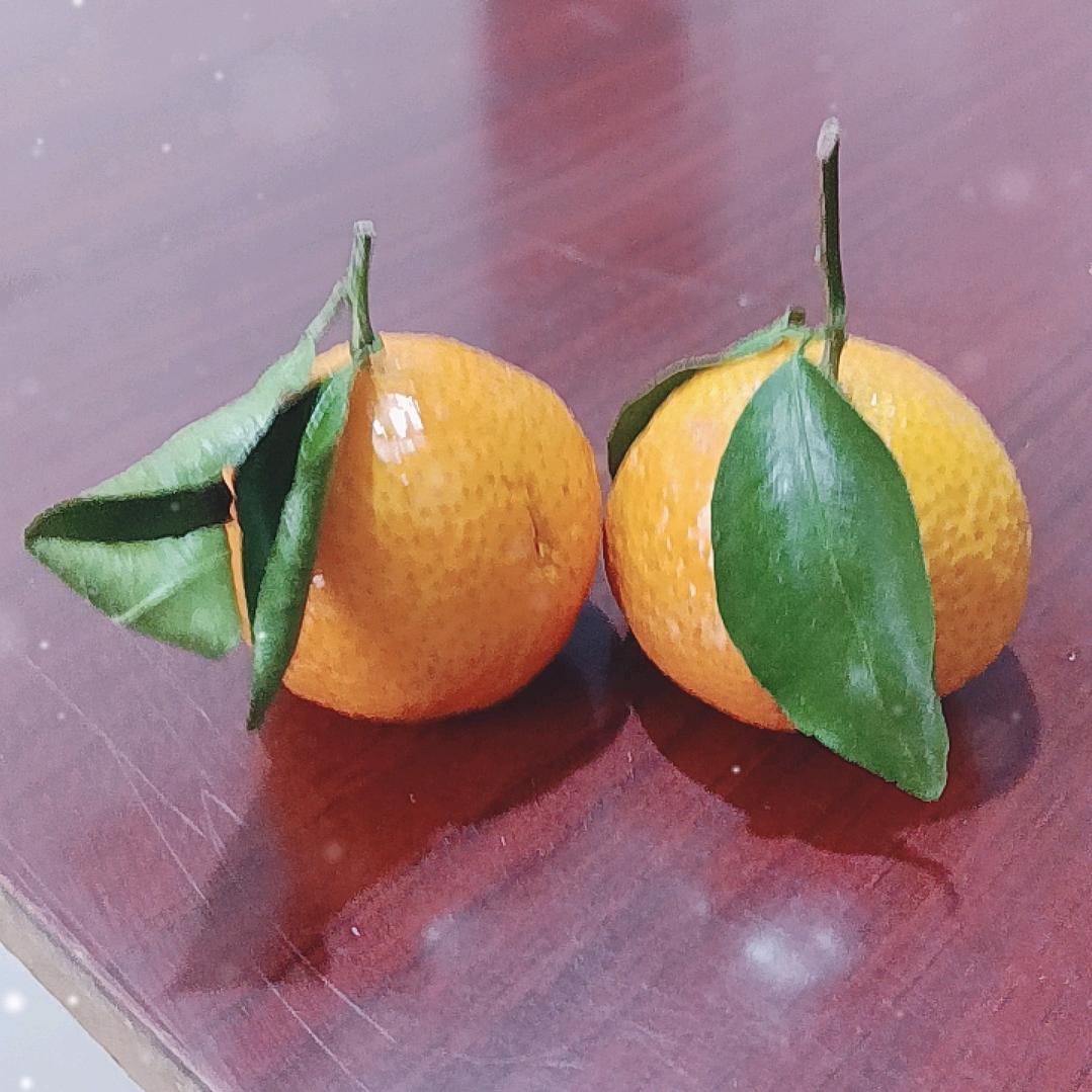 用户4925811037041