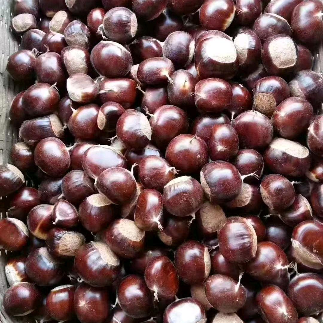 命中注定给你有缘