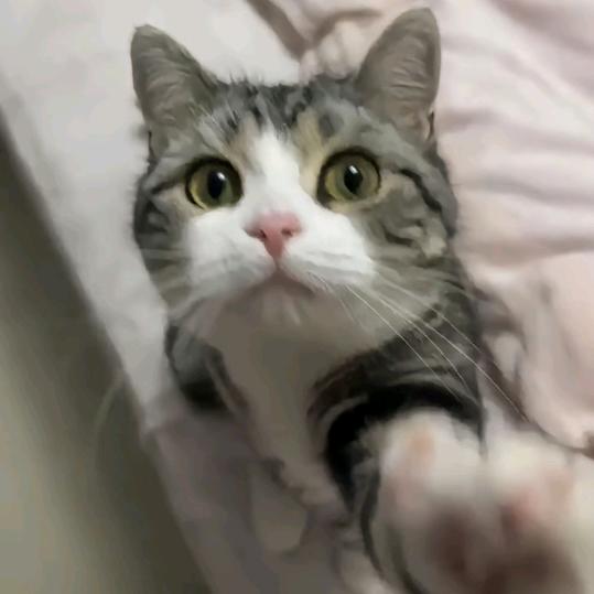 三千尺