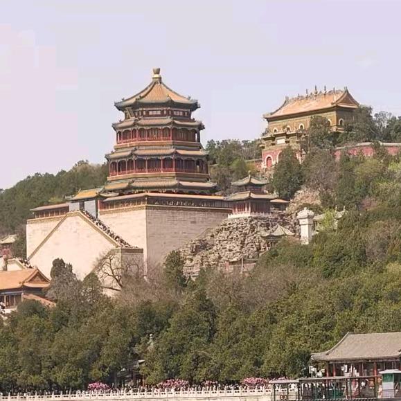萍姐家园