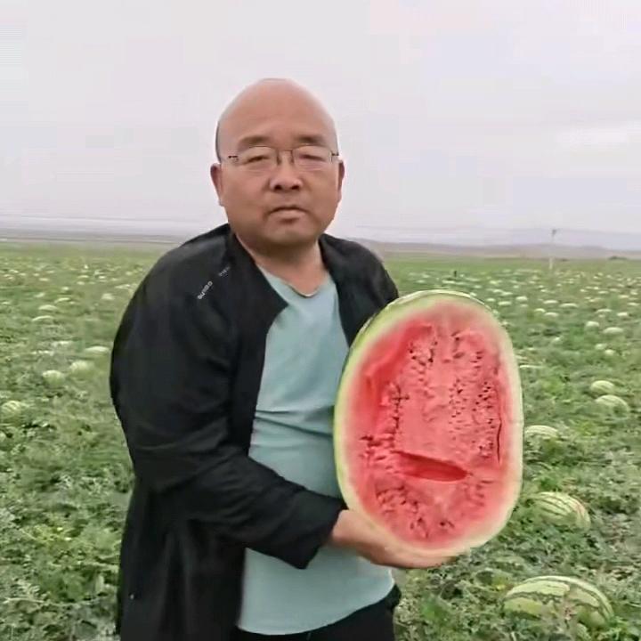 🍉卖瓜石头🍀