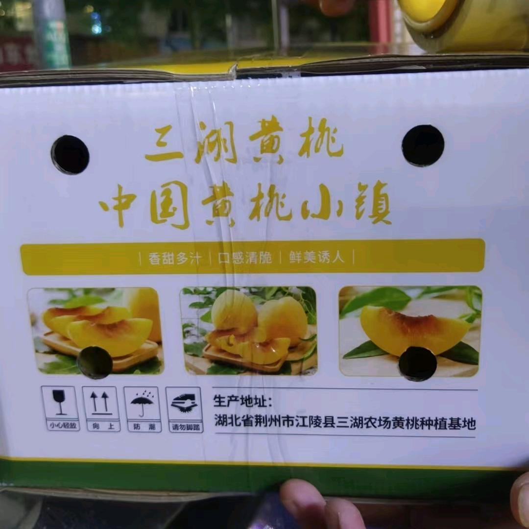 公子熊头像