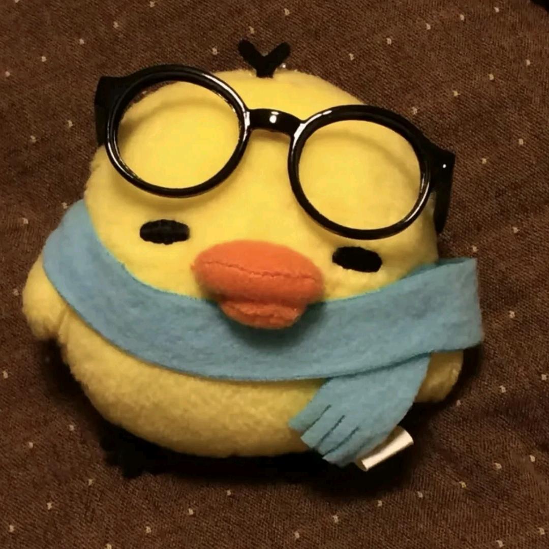 >ᴗoಣ