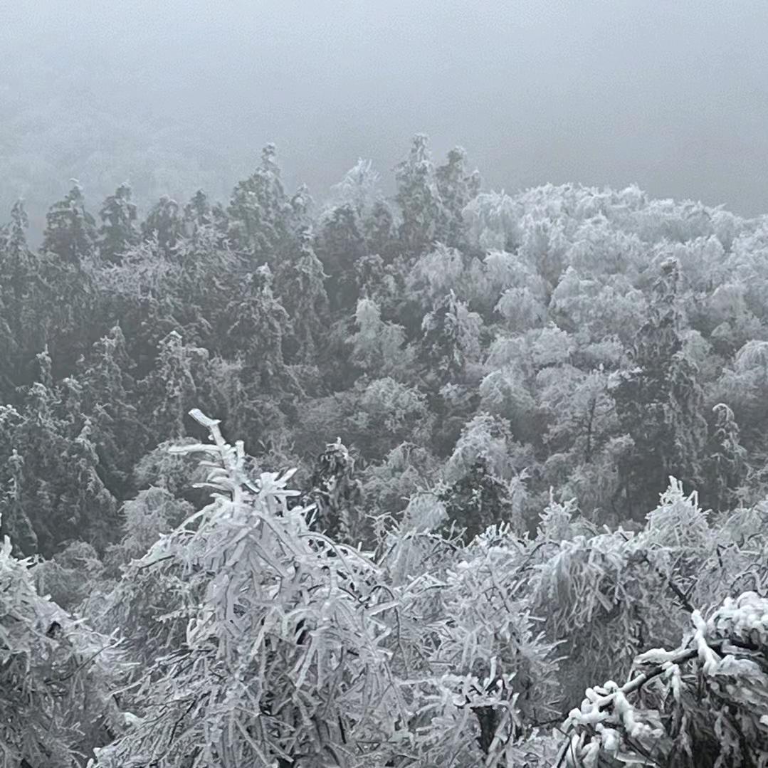 百度、搜索不到爱你的含义