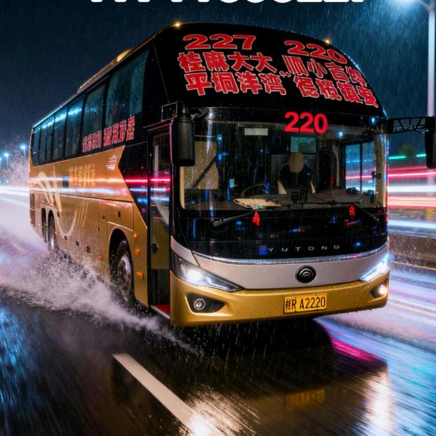 大湾227—220客运👉不倒翁