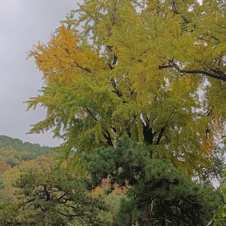 微笑向阳