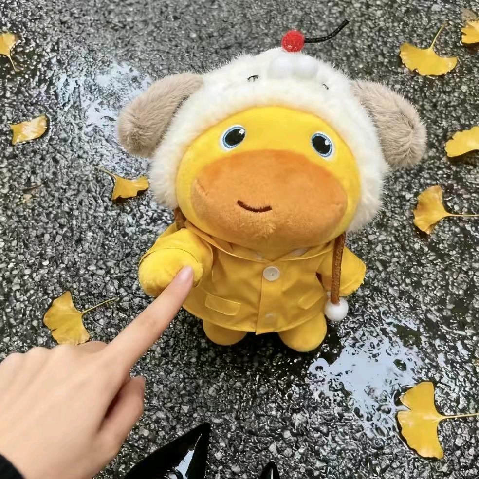 骑着骆驼去三亚