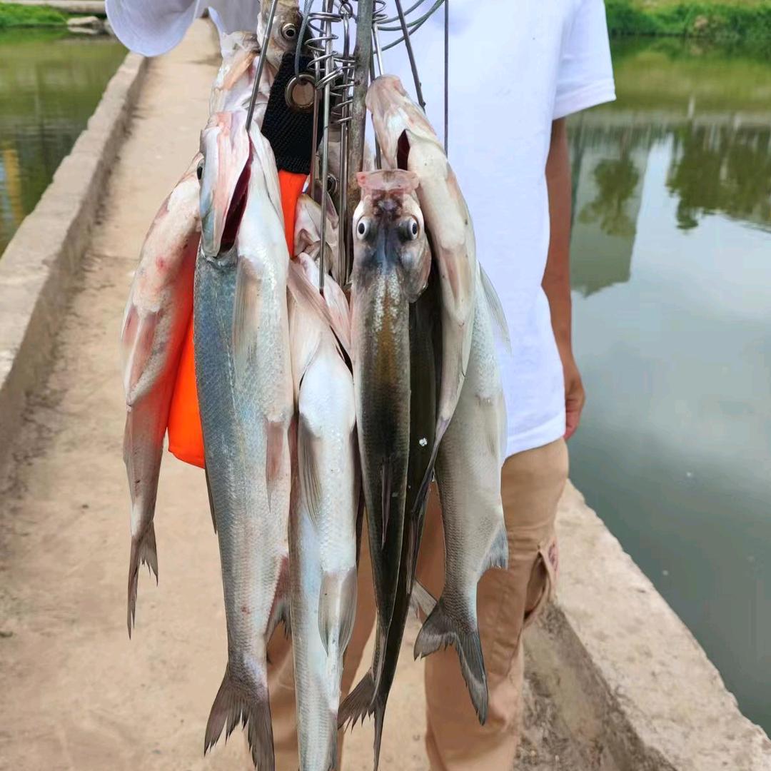 护不湿阿强