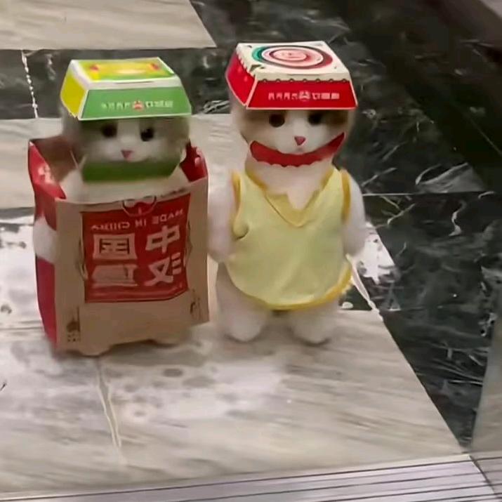 章菜章有理