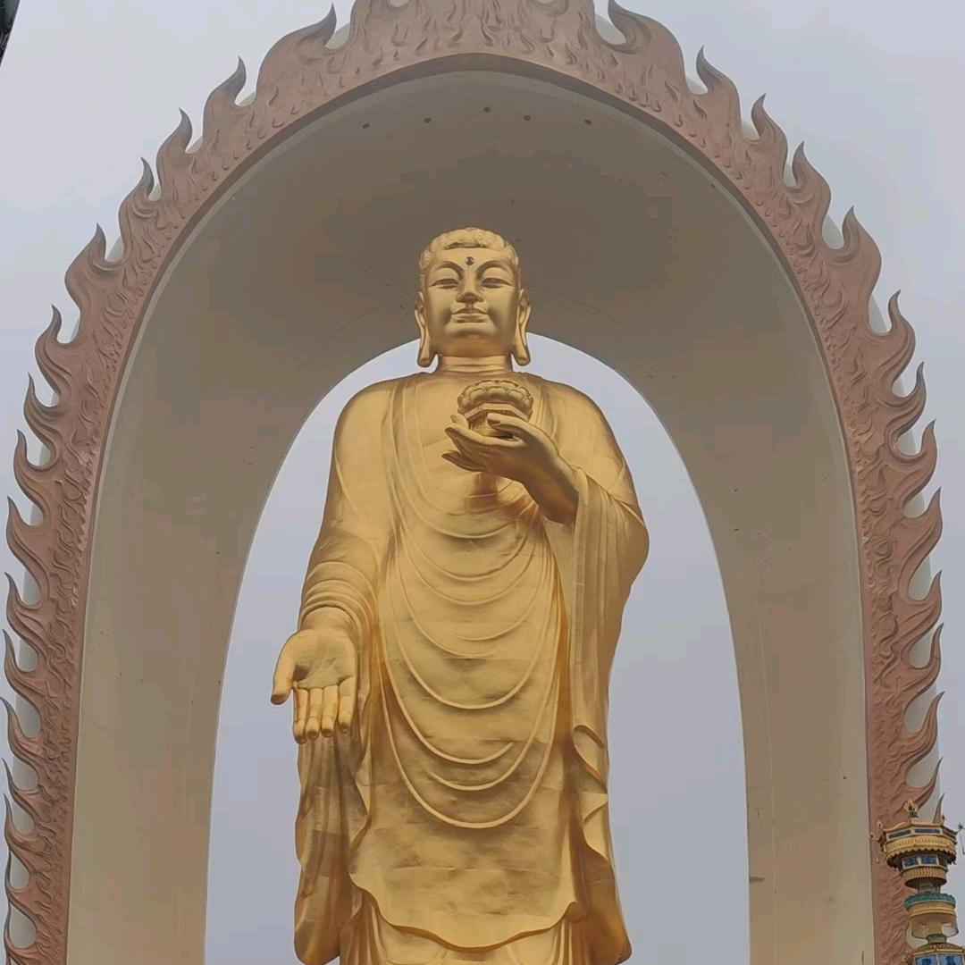 斌 哥