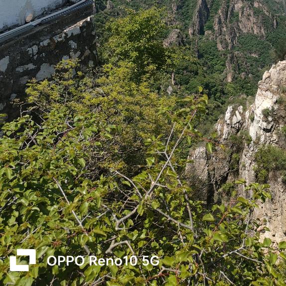 一魂一魄一颗心