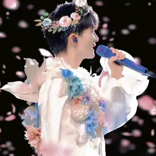 我是大女明星公主