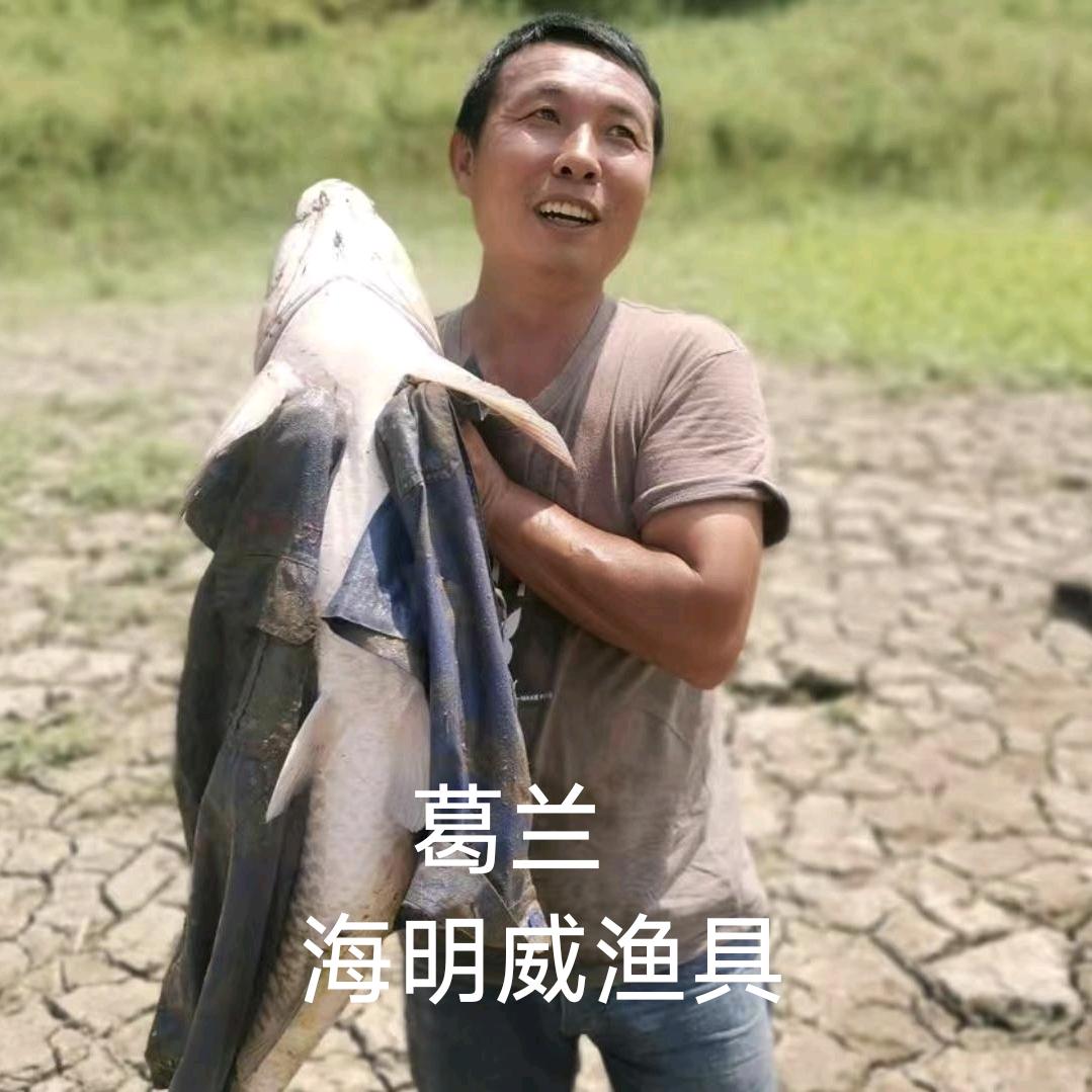 钓鱼观察