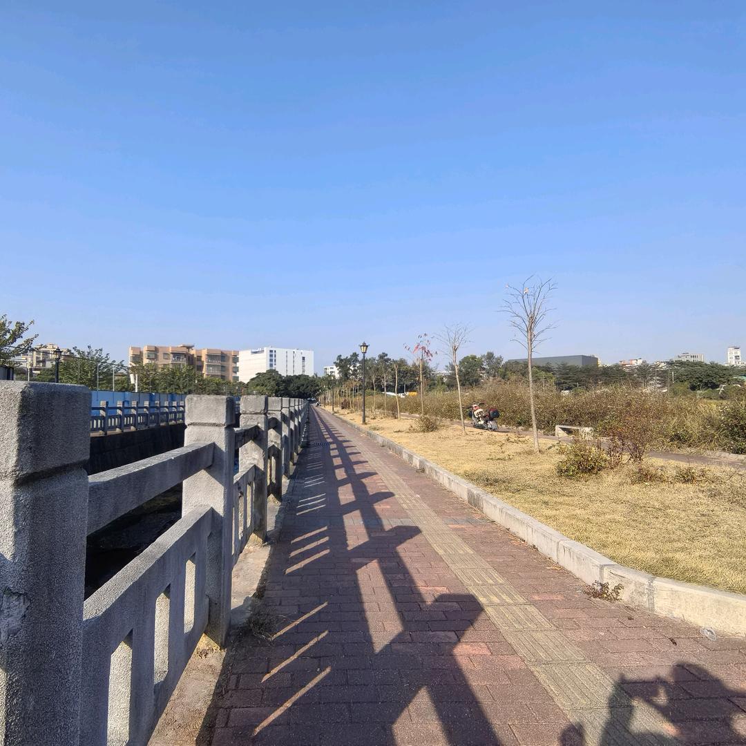 清风向晚
