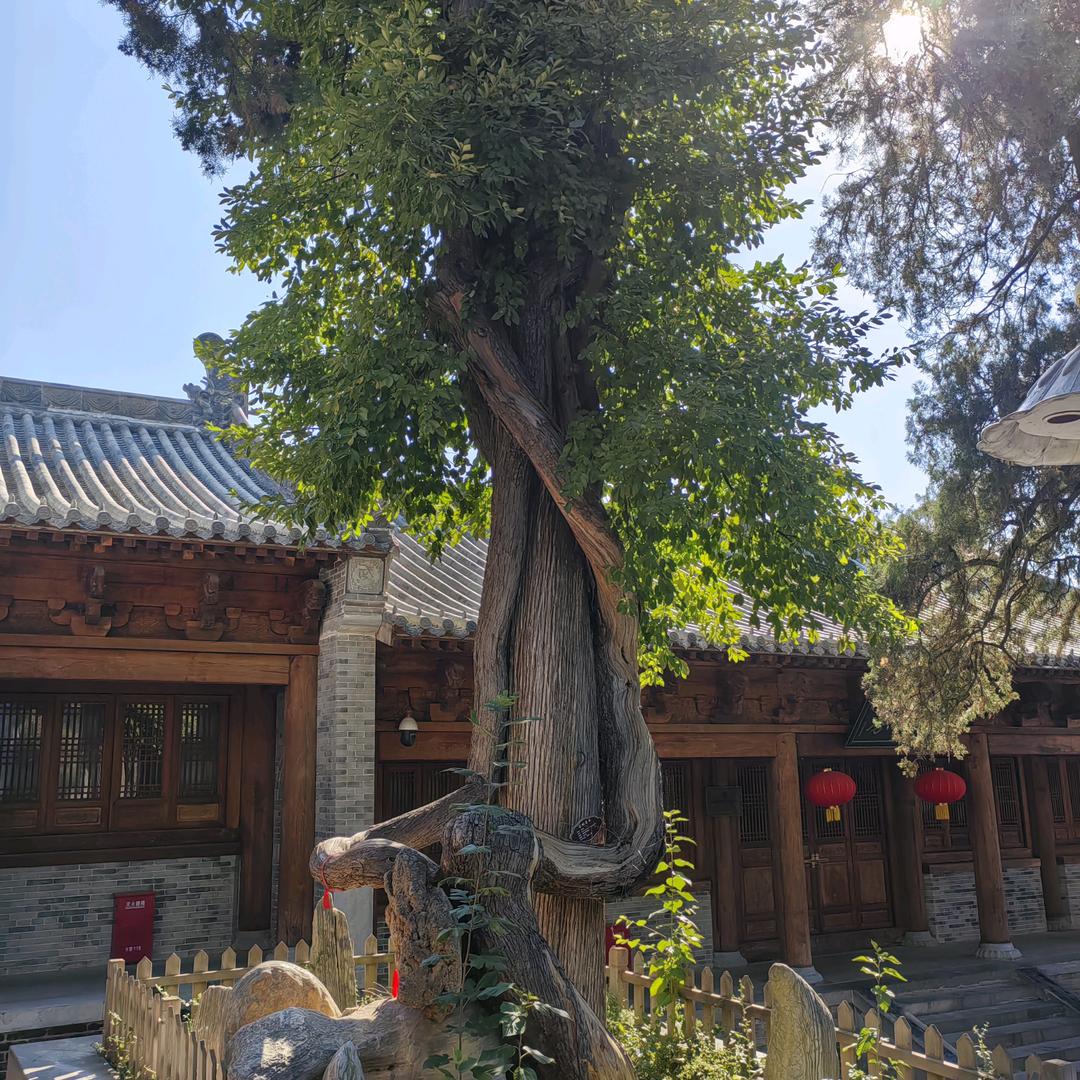 安静一会