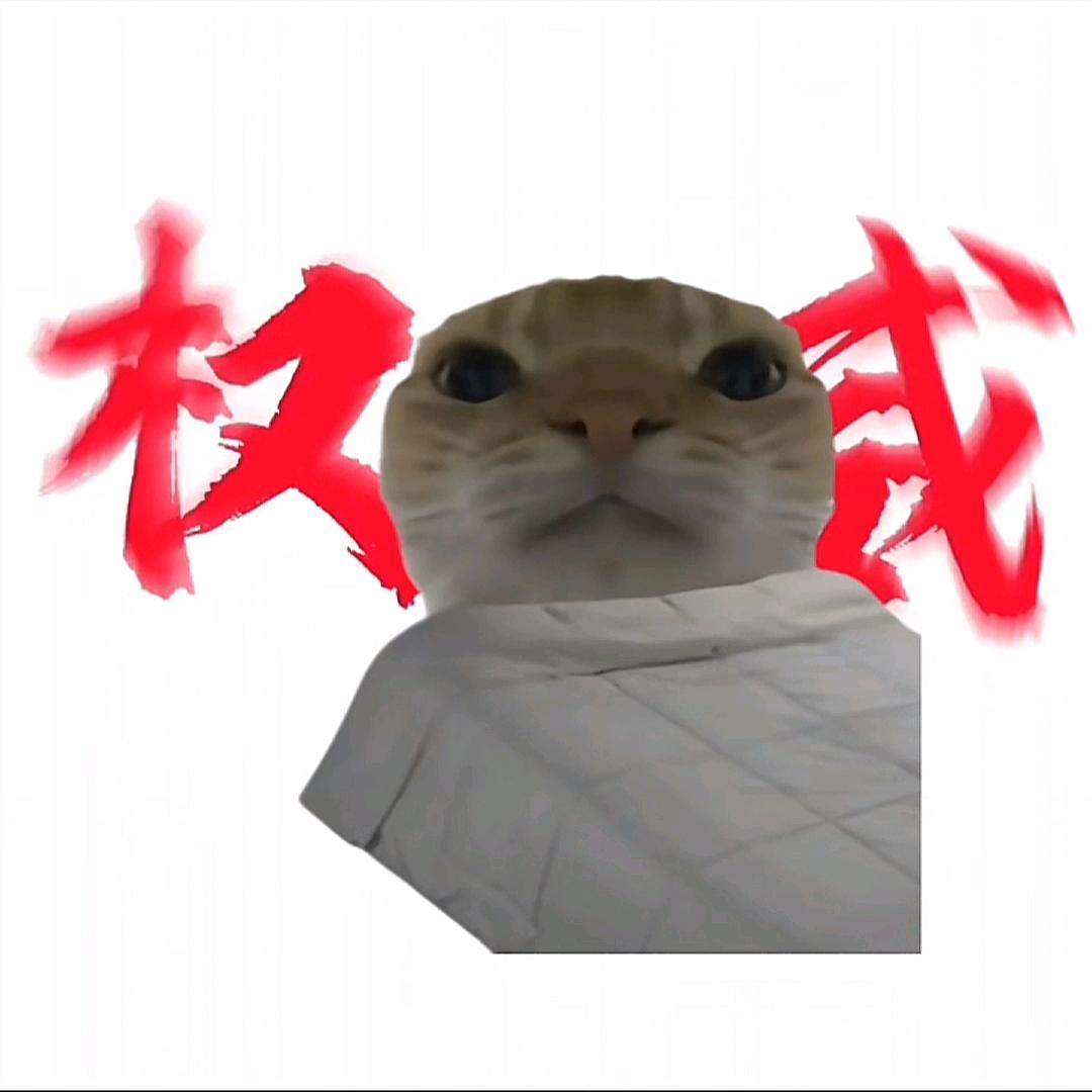 邢（暗区突围）