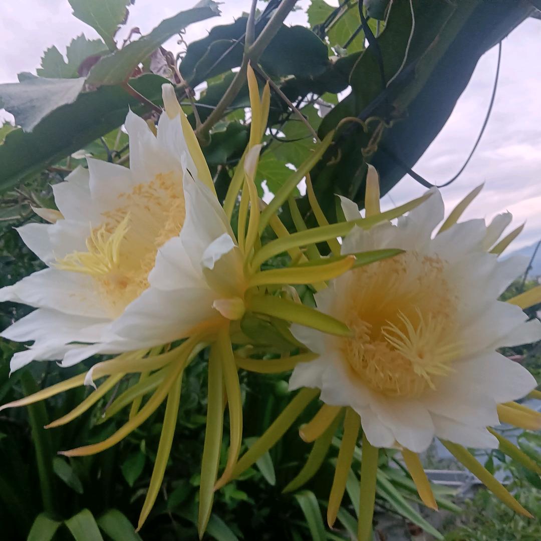 永不放弃喜欢的人