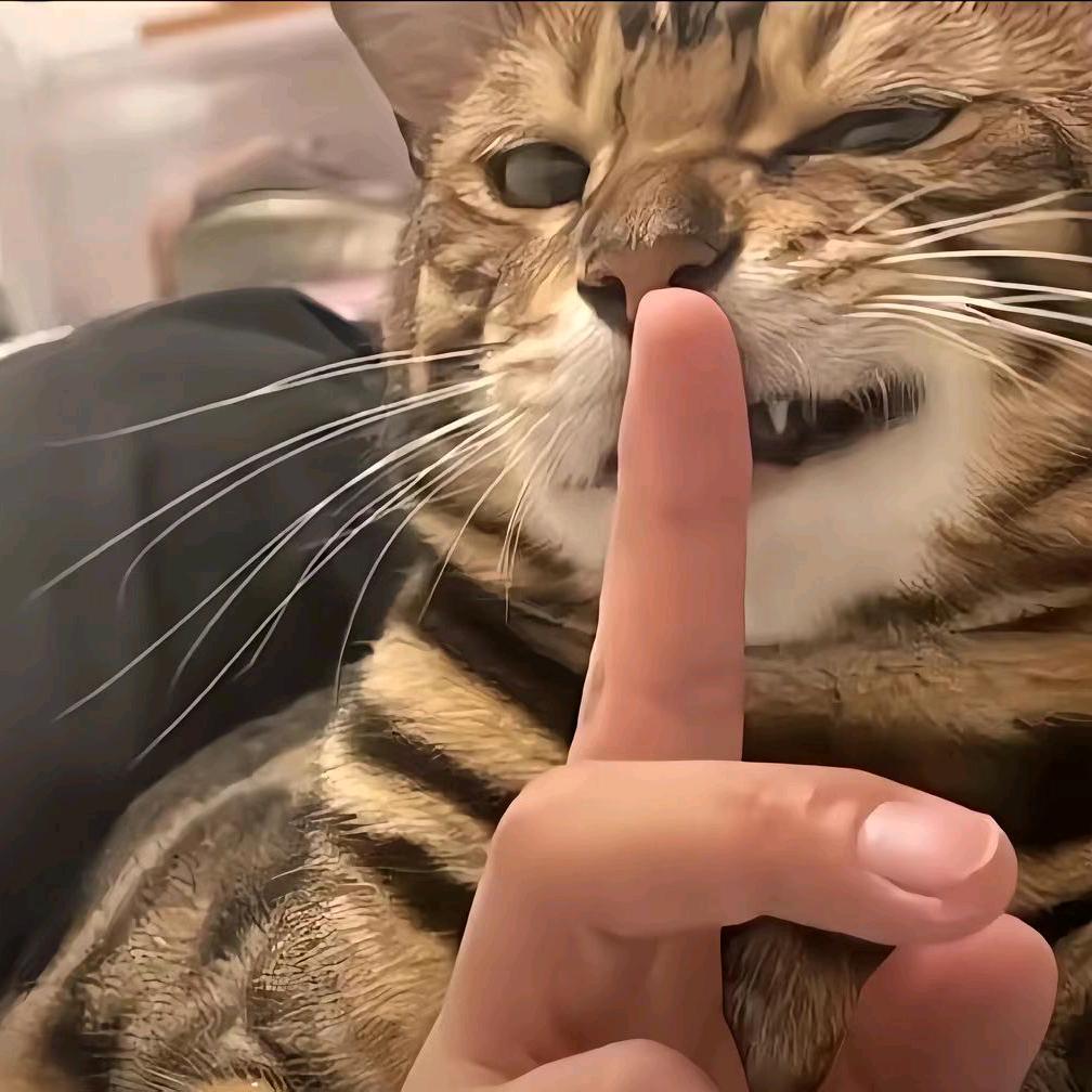 南道半人。头像
