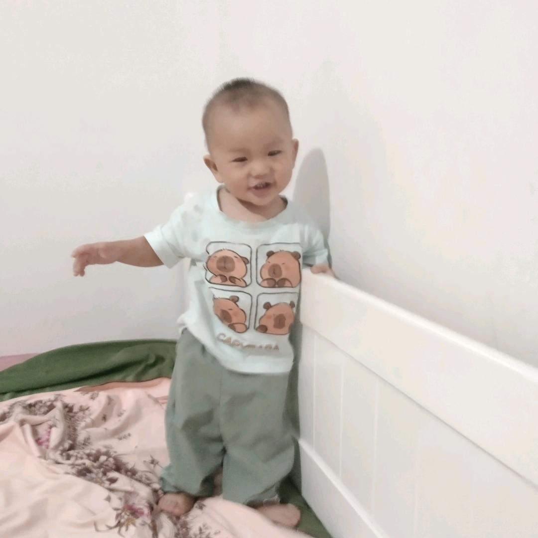 我家的三宝