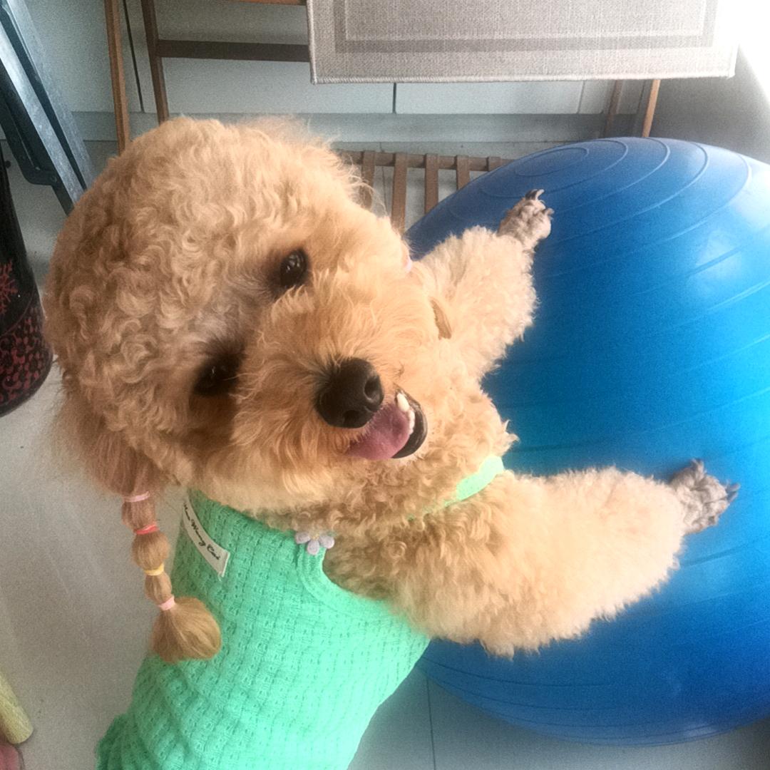 臭宝