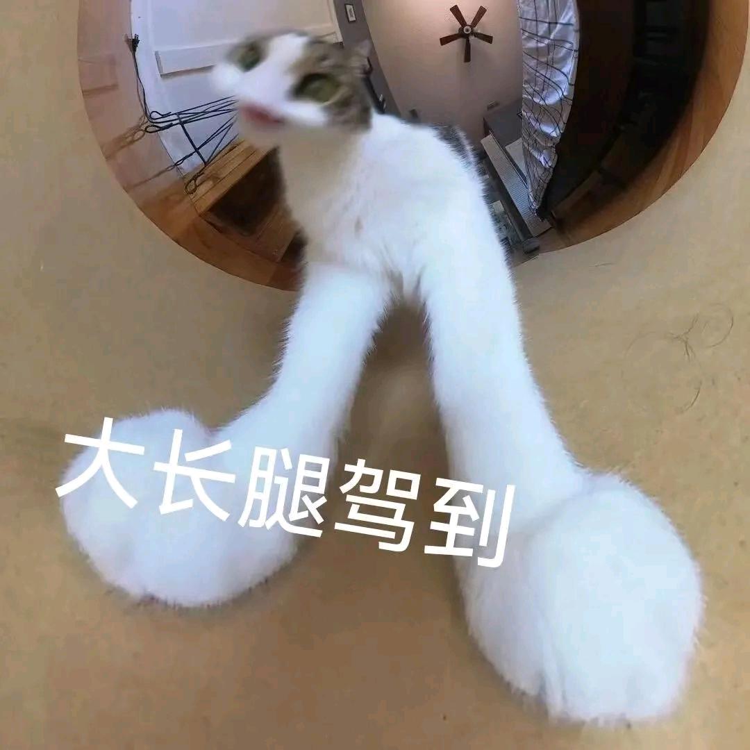 🌈漂酿吖姨（非常好运版）