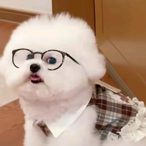 剑会出手的昊哥