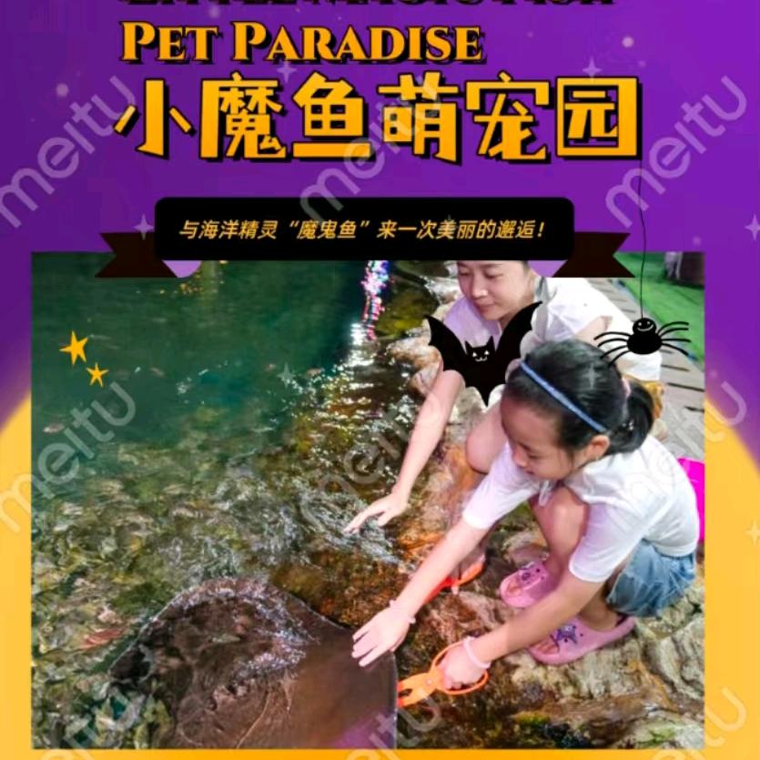 三亚海棠湾海昌梦幻不夜城~小魔鱼萌宠园