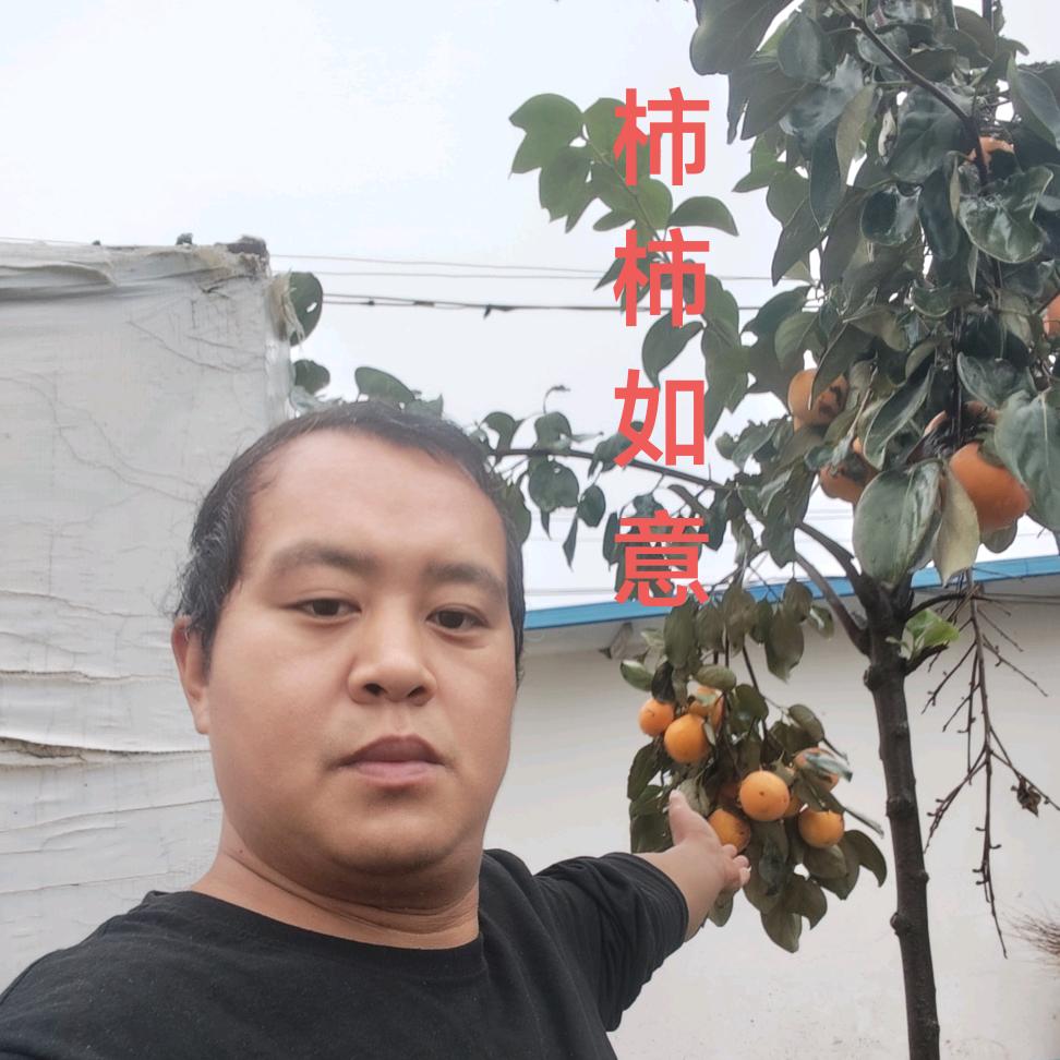 淮阳电动车批发叶强