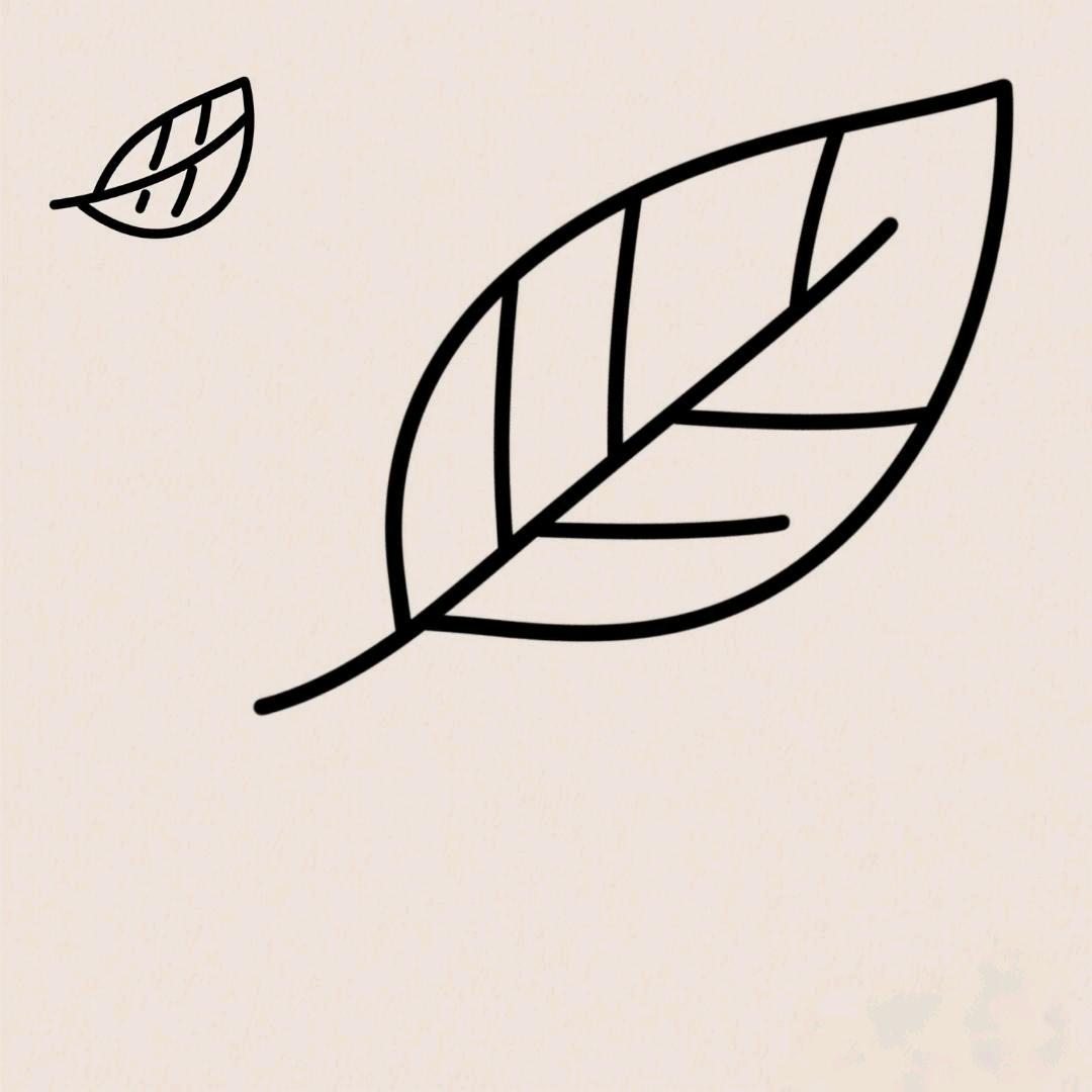 成像的镜子