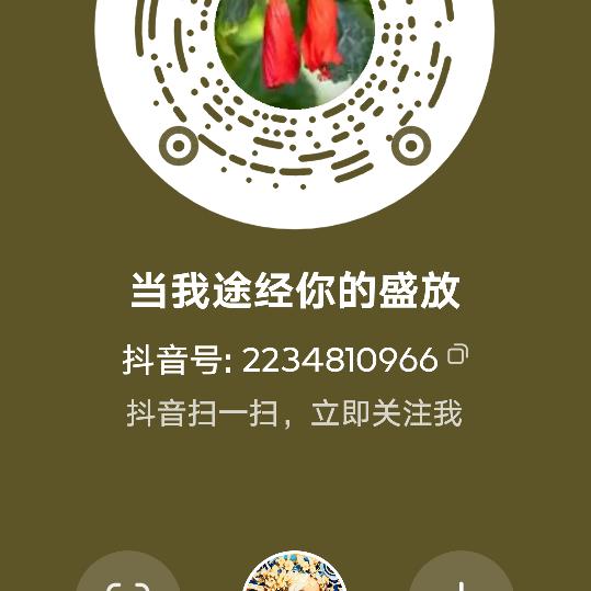 当我途经你的盛放