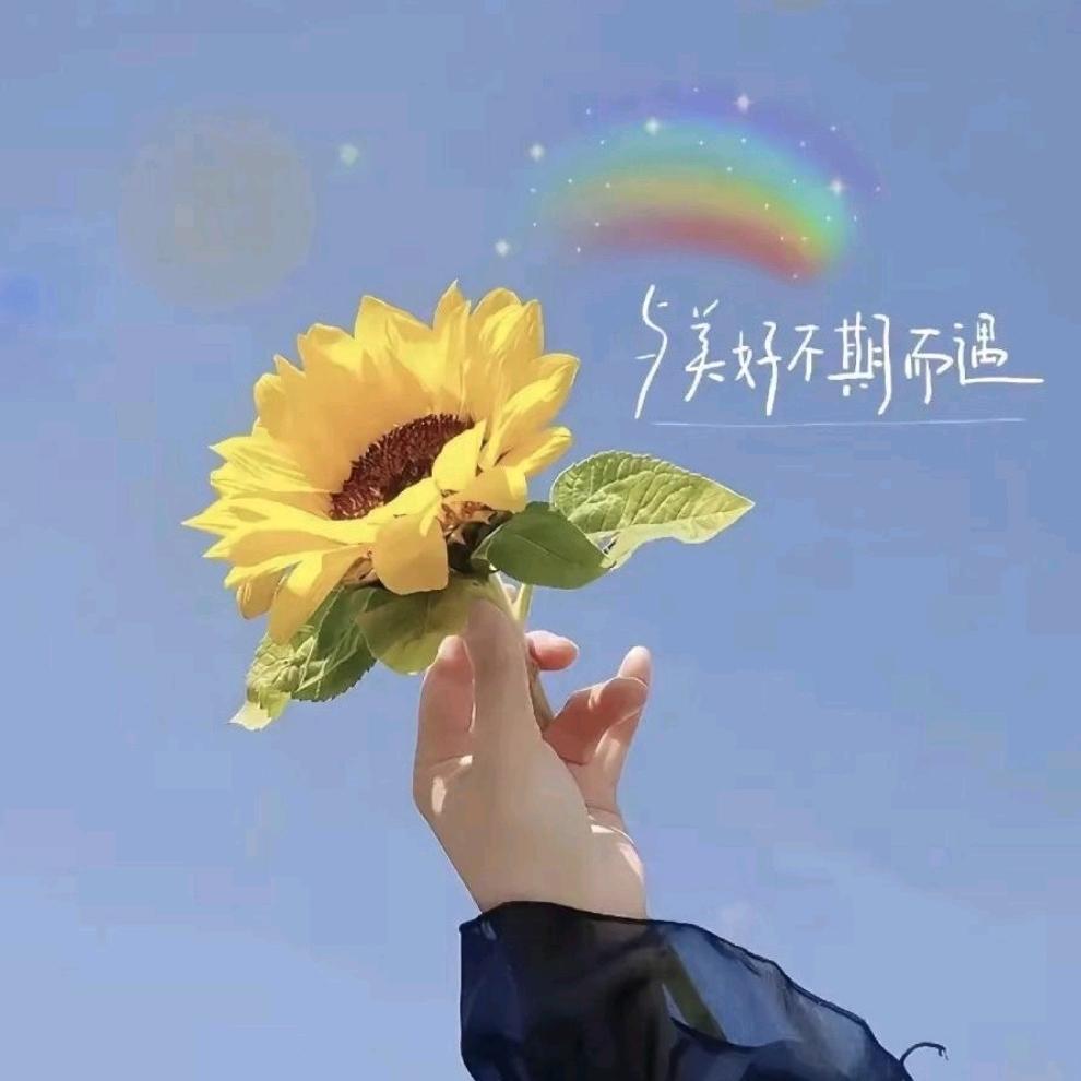 Dream