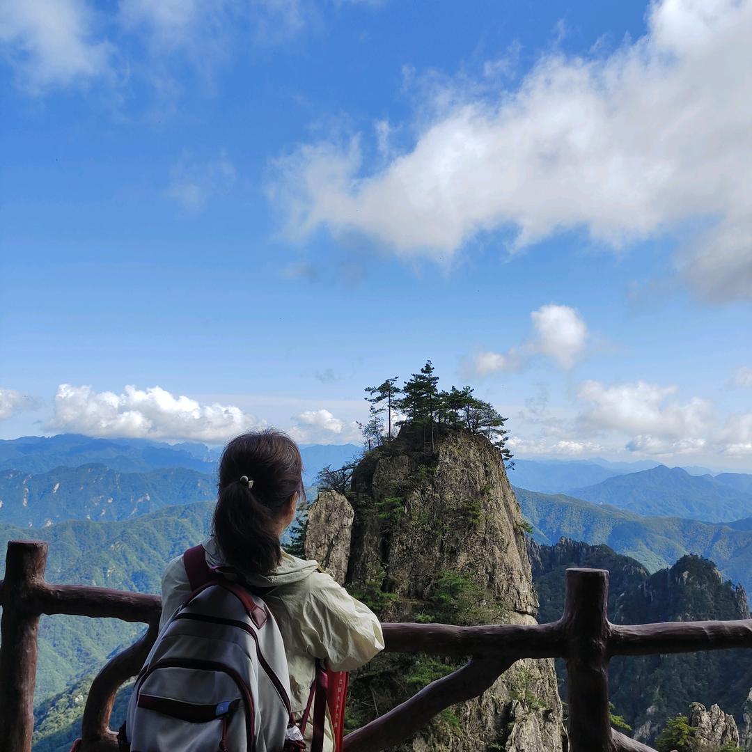 阿丽旅游