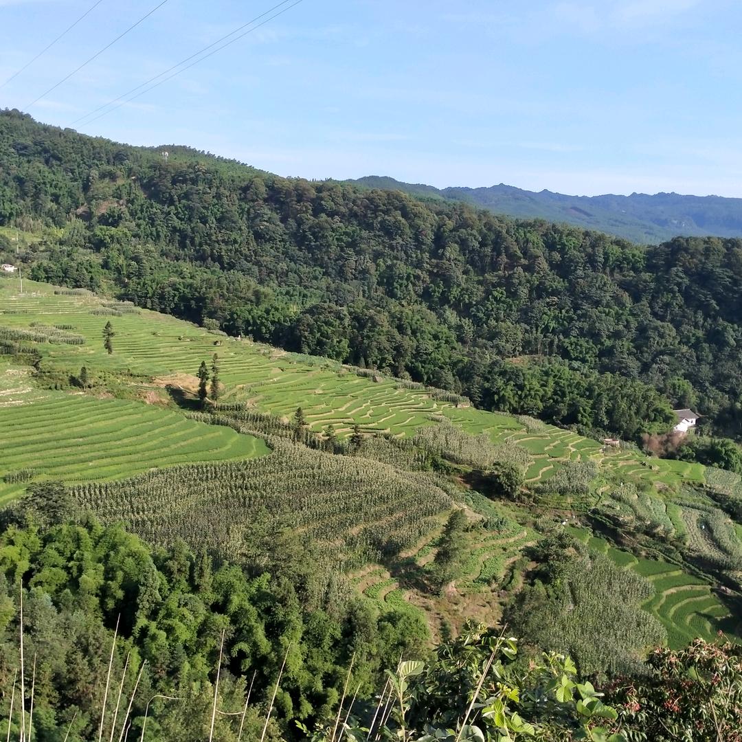 🎣钓鱼钓美人鱼🧜