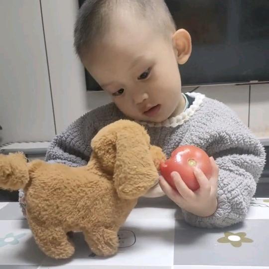 柠檬草的味道