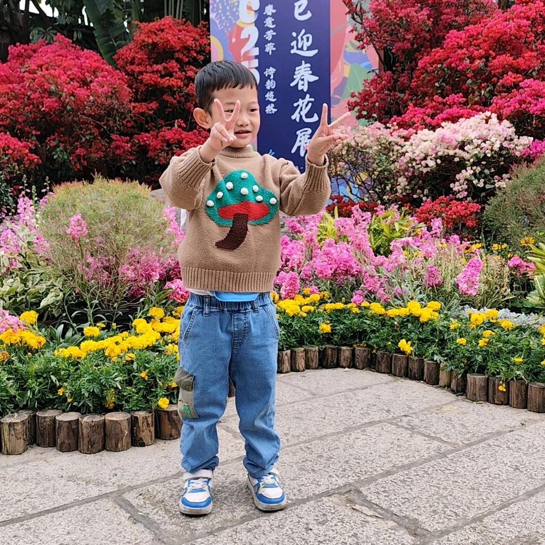 🍎🍒岁月静好