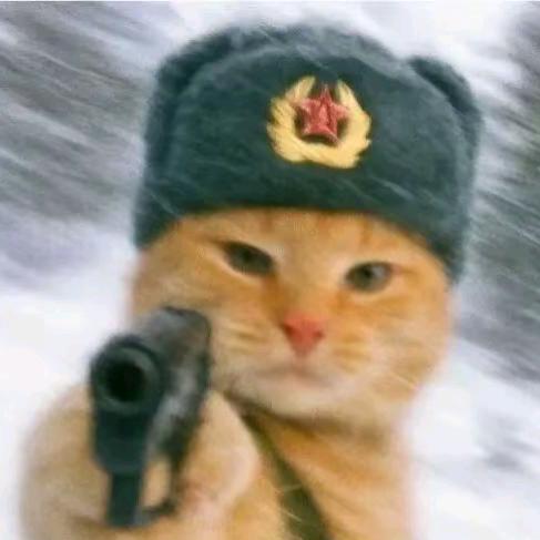 薯薯
