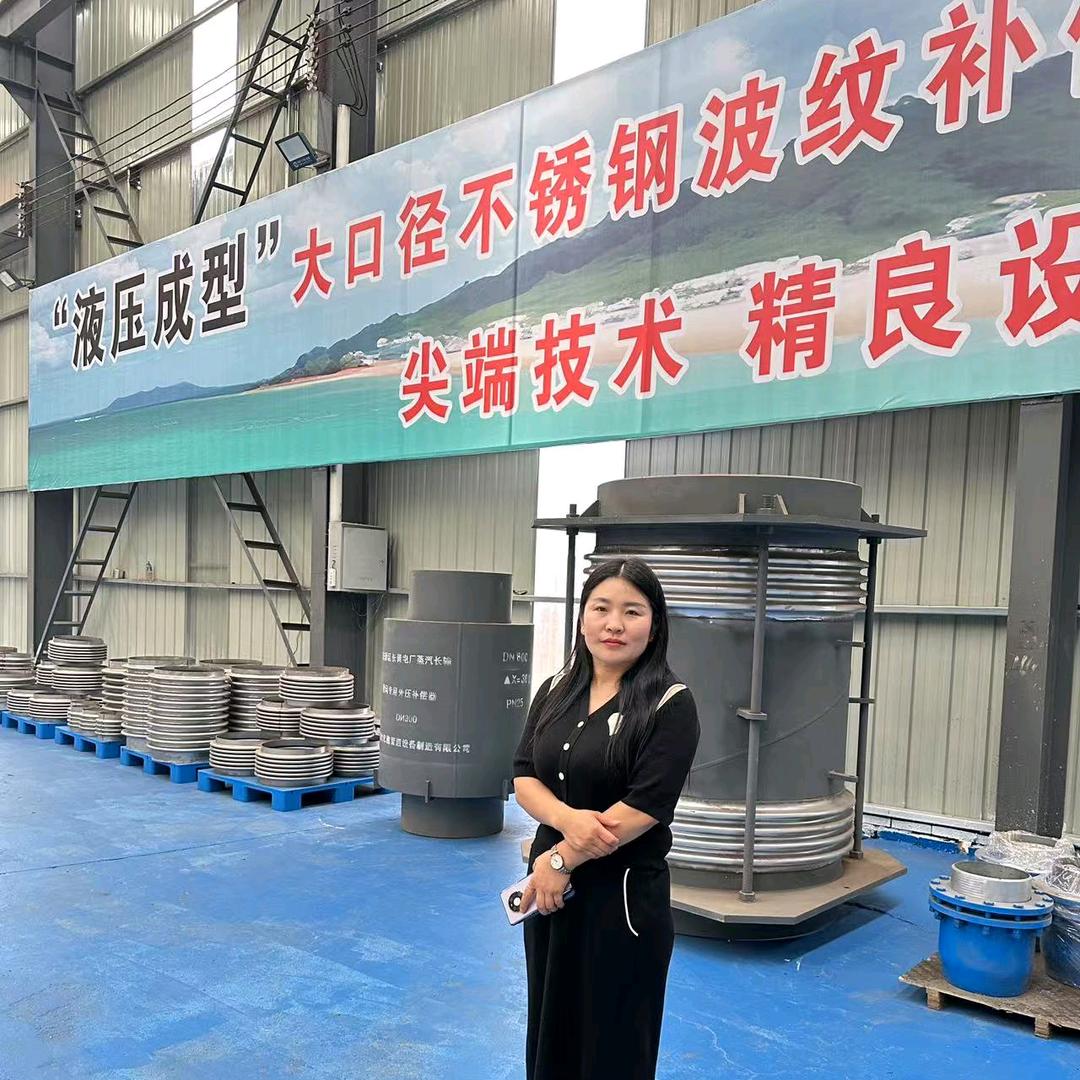 河北薪宽老马讲补偿器