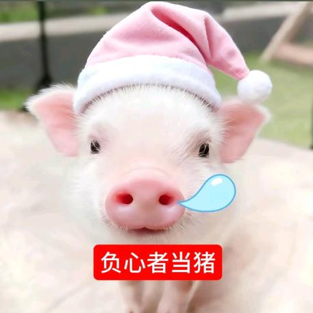 全网最嚣张的太中黑