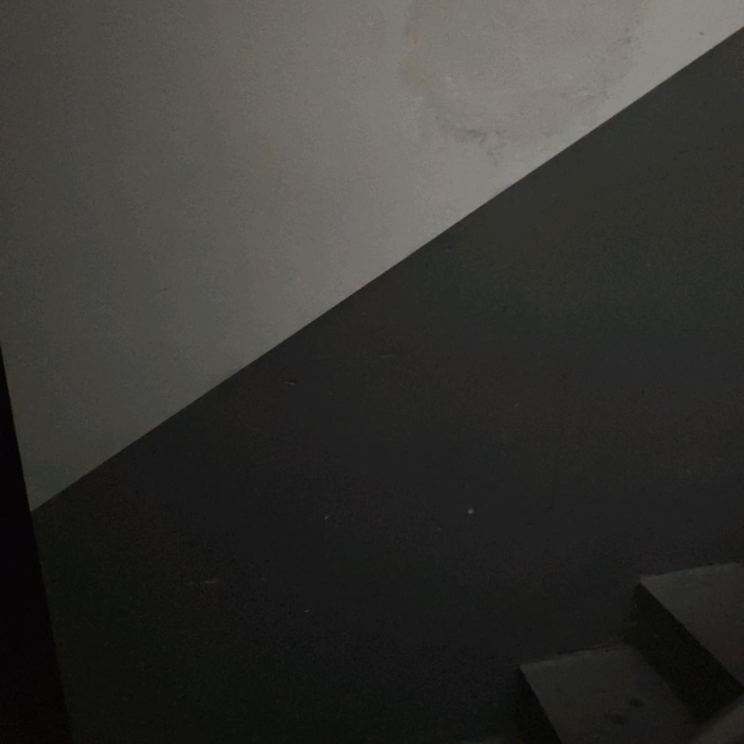 y1