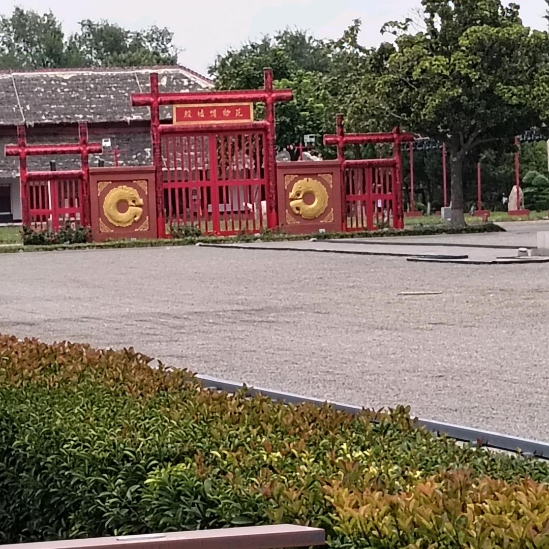 大彪哥