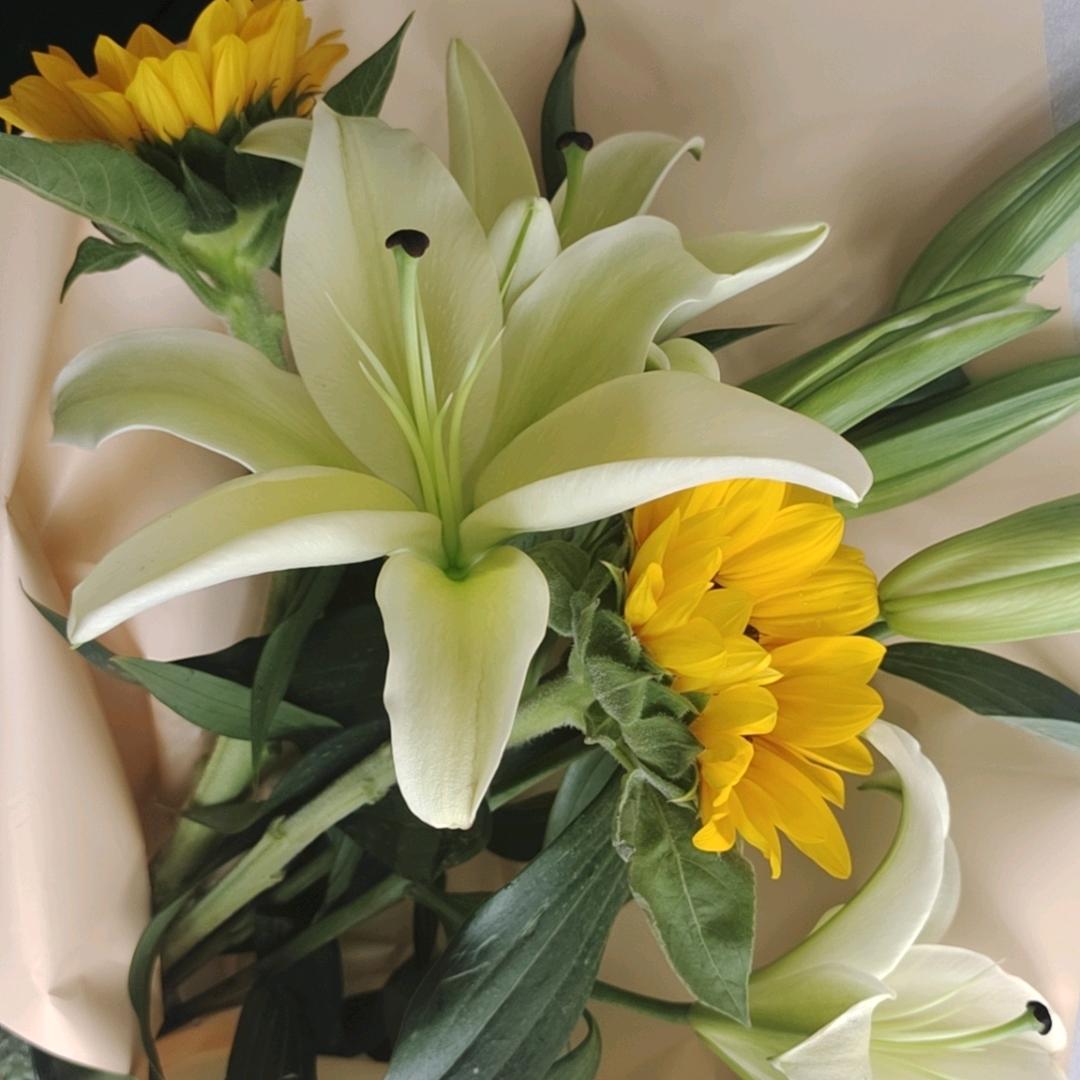 菲悦生活美容馆官方号