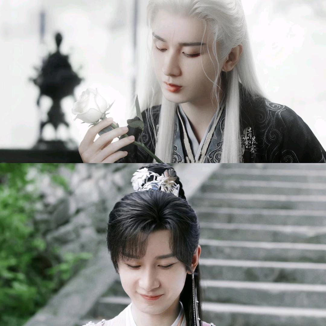 苗啊🥝