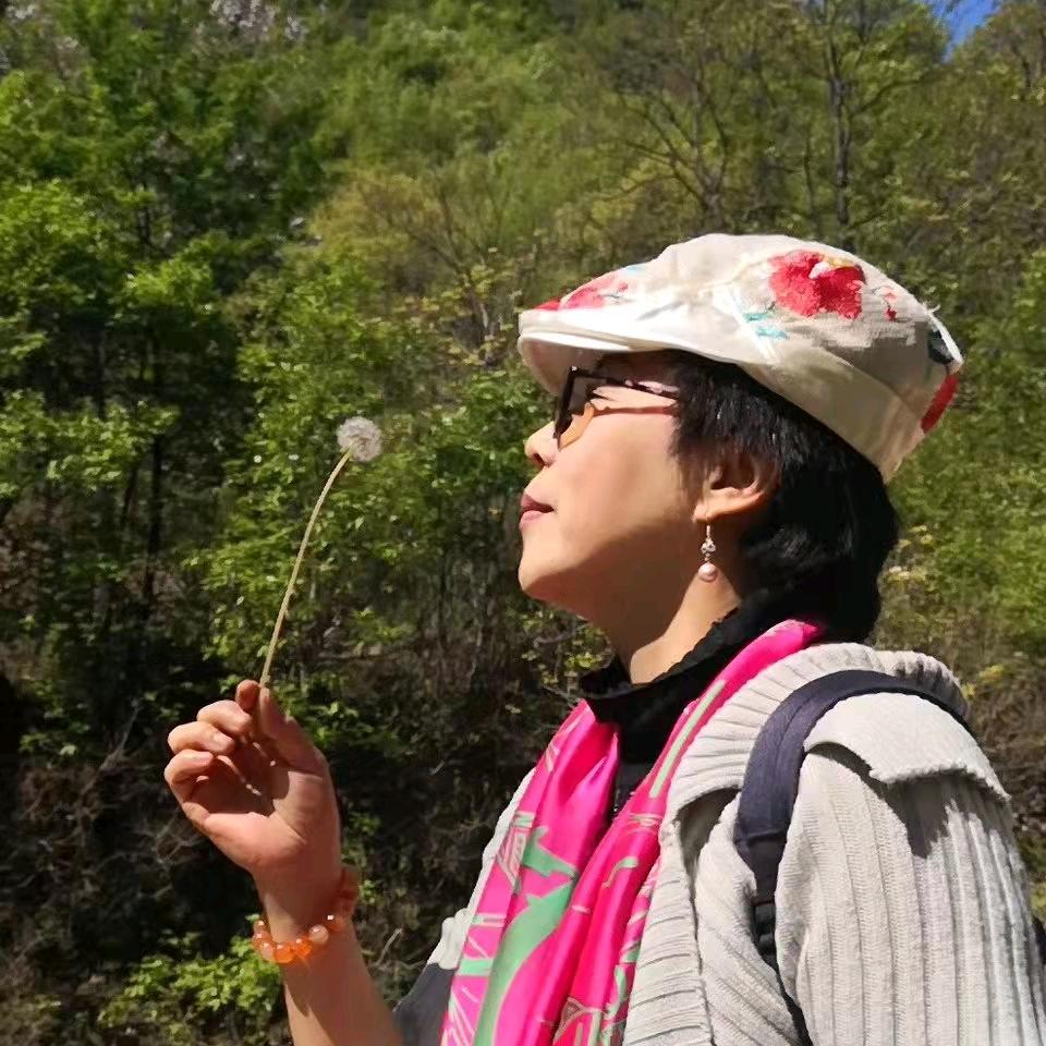 🎶禅悟菁(jing)薪