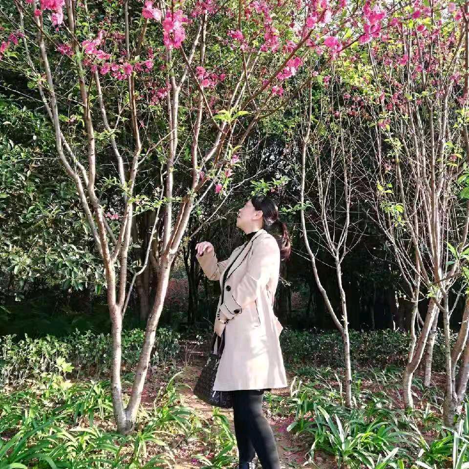 晓燕吹南风